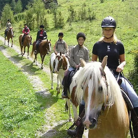 Apartament Freiraum *